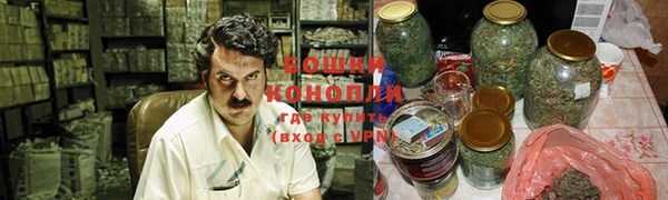 ГАЛЛЮЦИНОГЕННЫЕ ГРИБЫ Абаза