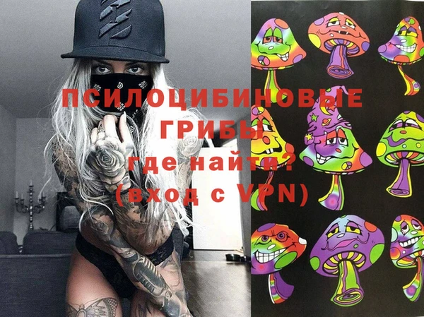 ГАЛЛЮЦИНОГЕННЫЕ ГРИБЫ Абаза