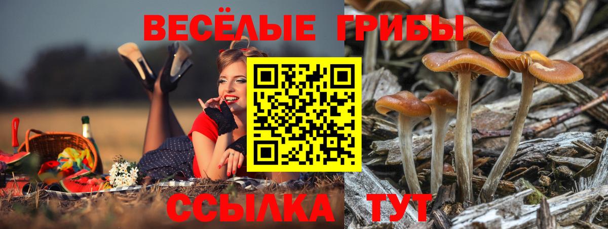 Ангарск  Псилоцибиновые грибы мухоморы  Вход с VPN 